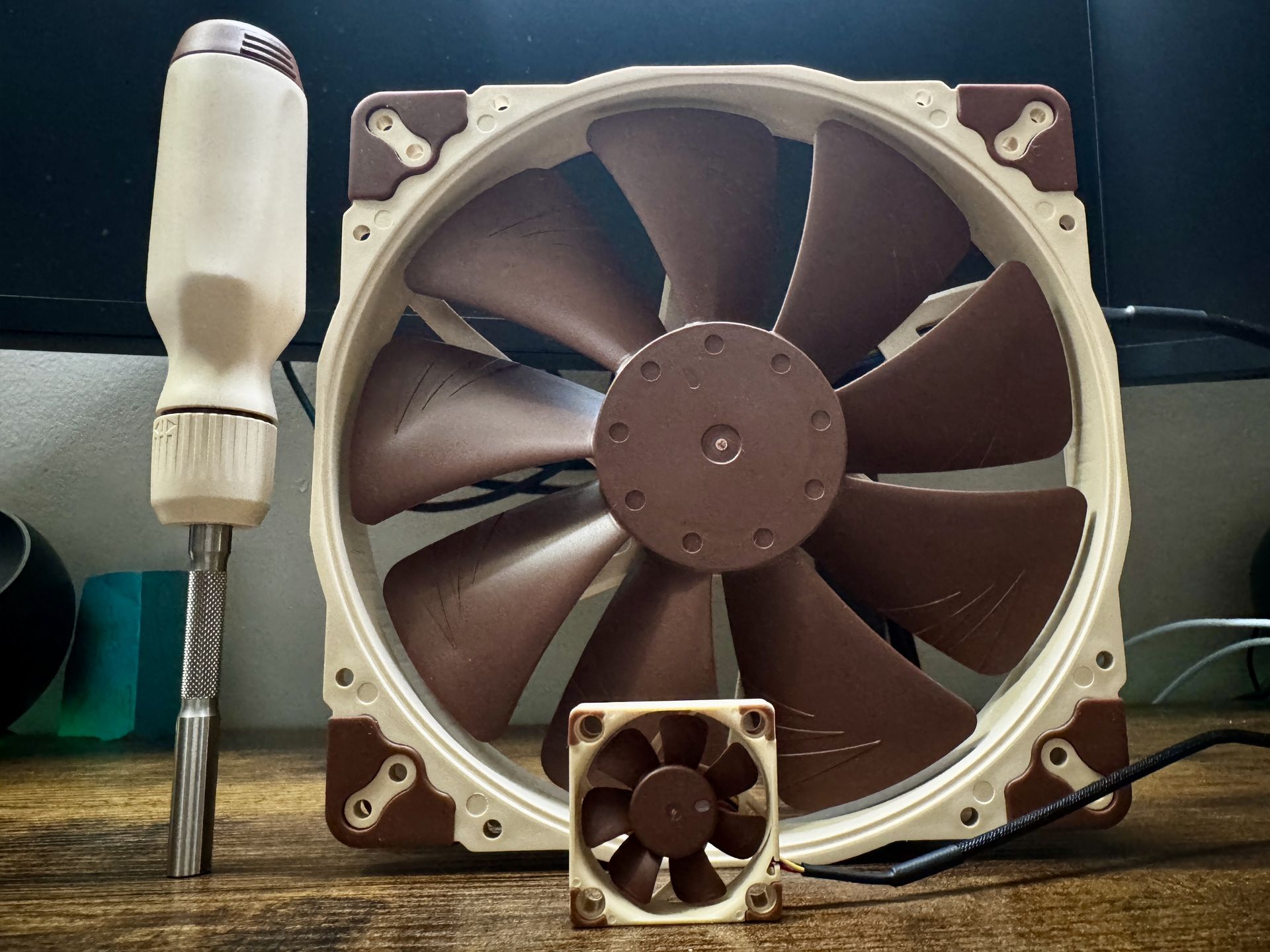 Noctua big and small with screwdriver